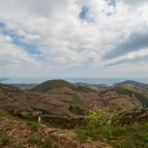 Bei Collioure und Banyuls 20190502 122116 Frankreich