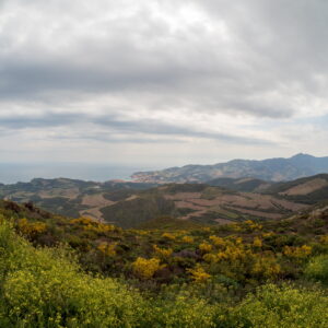 Bei Collioure und Banyuls 20190502 122737 Frankreich