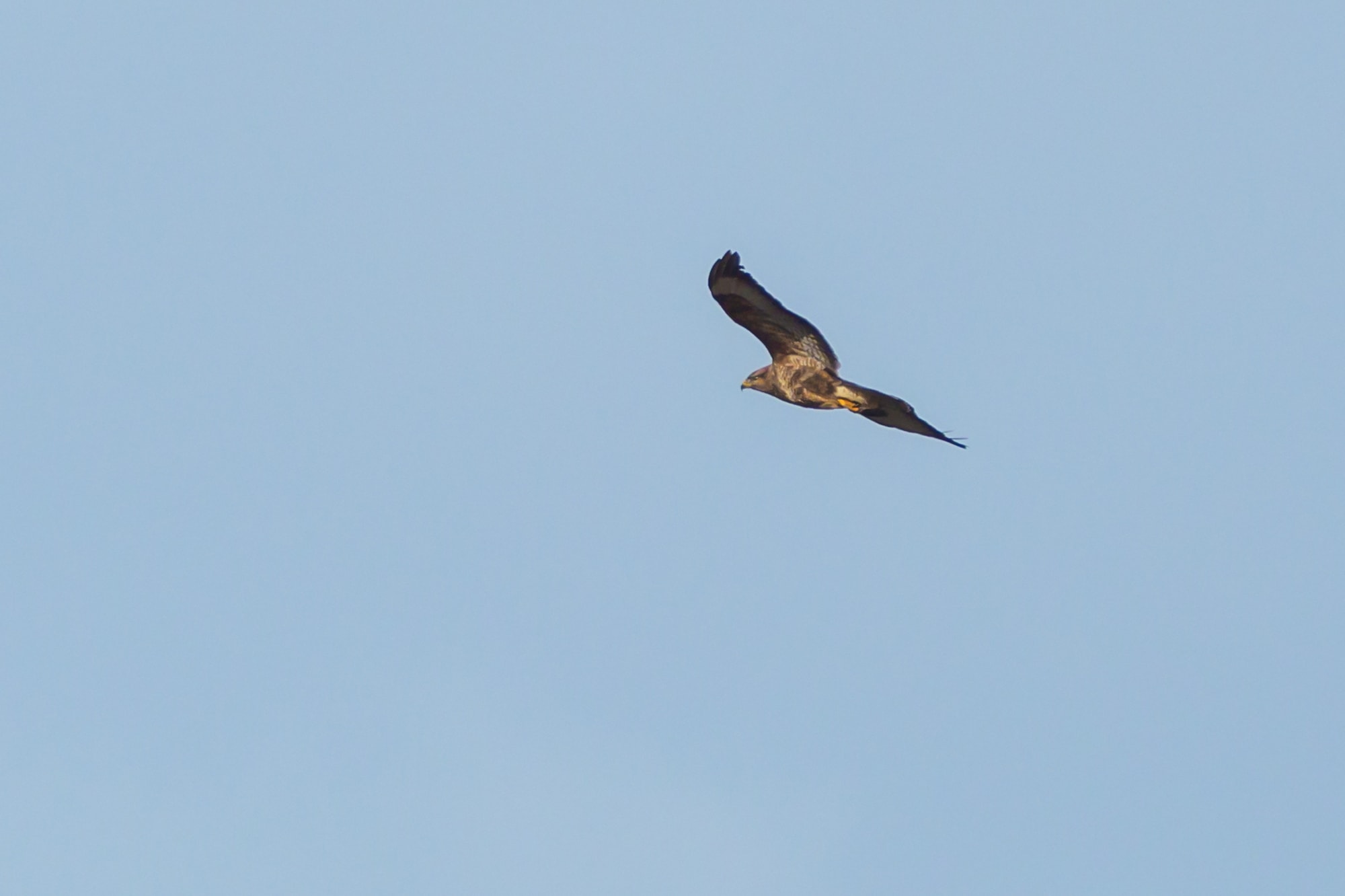 20191111 115421 Cornwall
