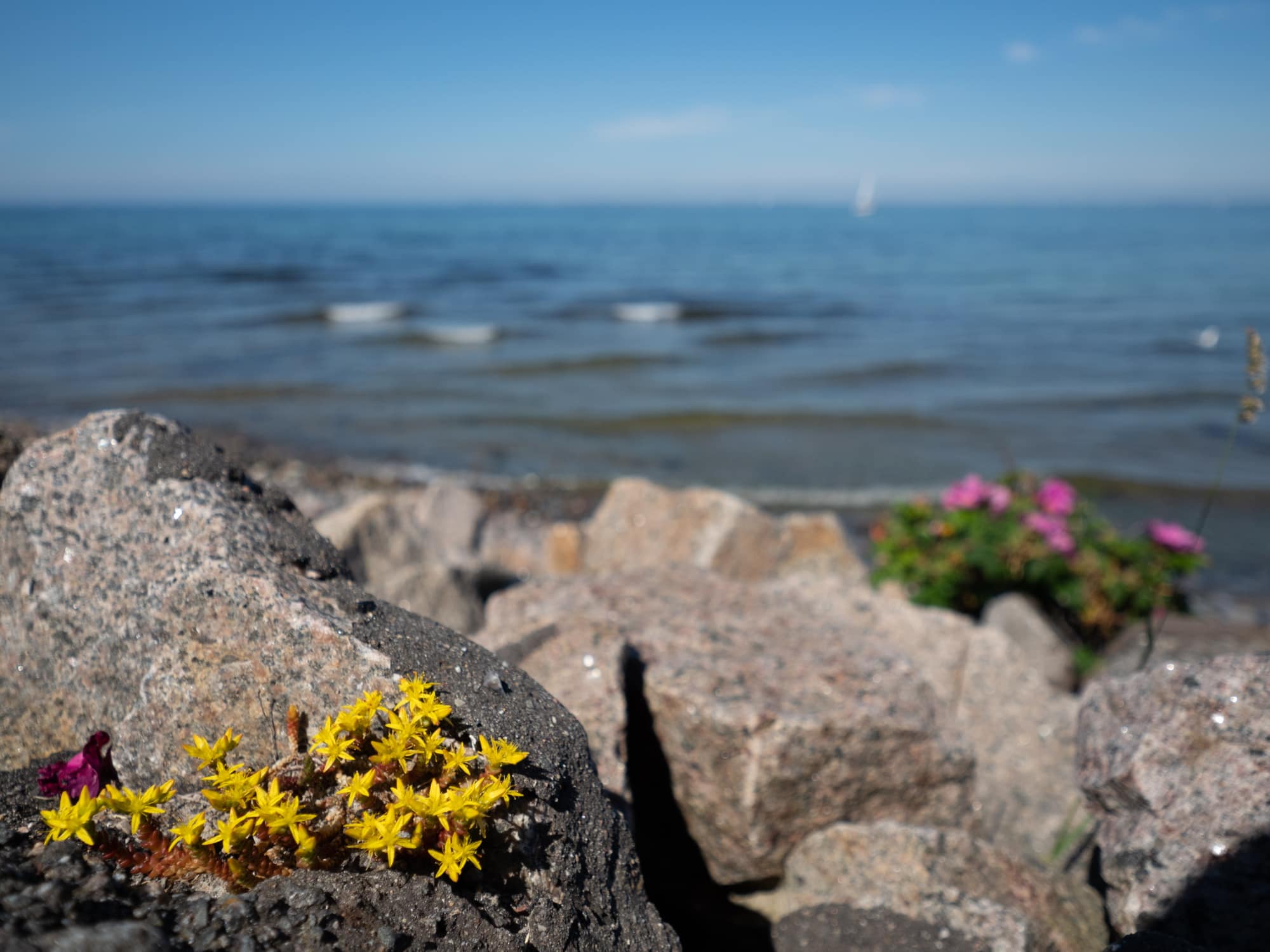 20200621 155619 Ostsee bei Heiligenhafen15
