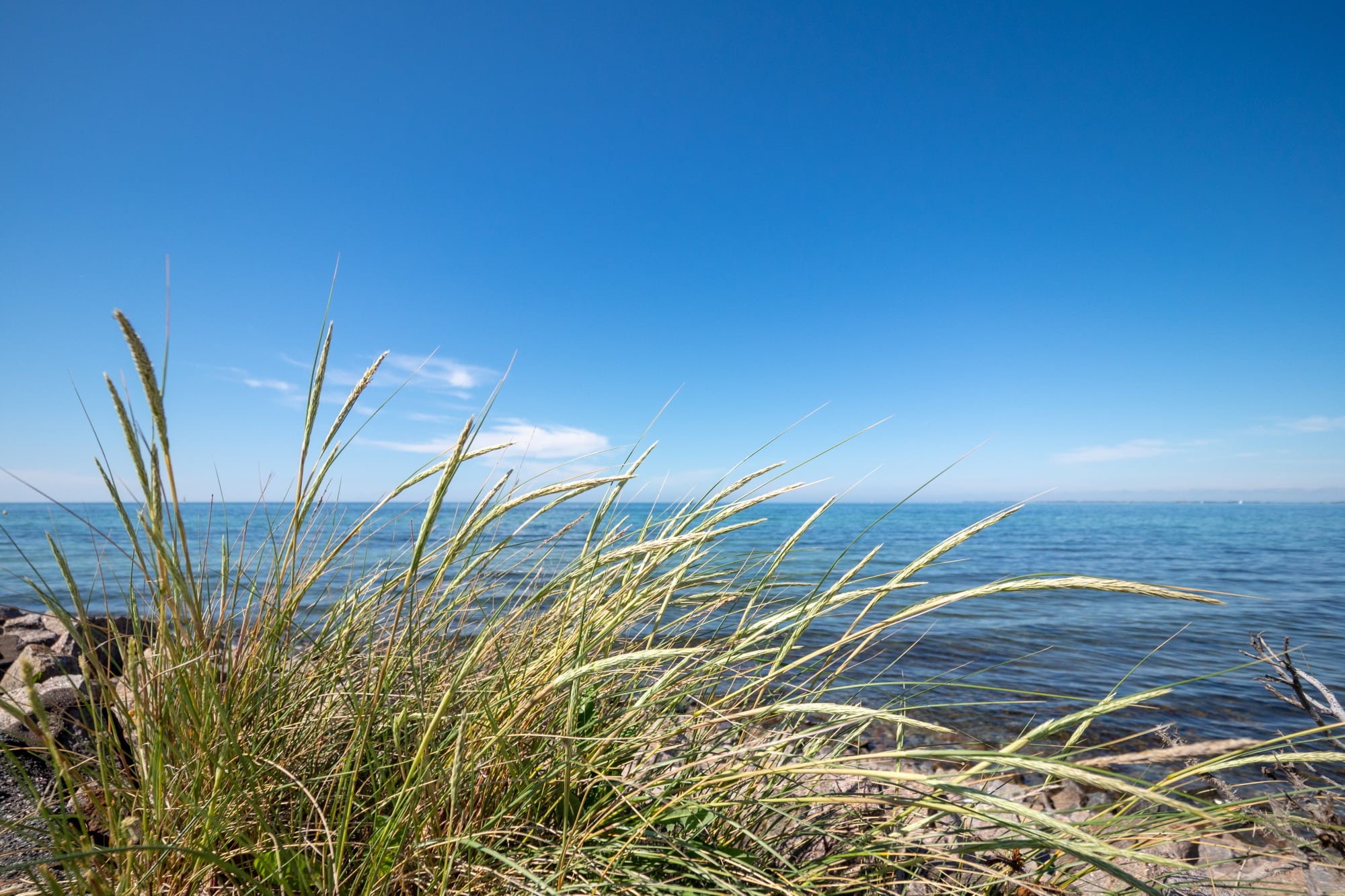 20200621 155813 Ostsee bei Heiligenhafen17