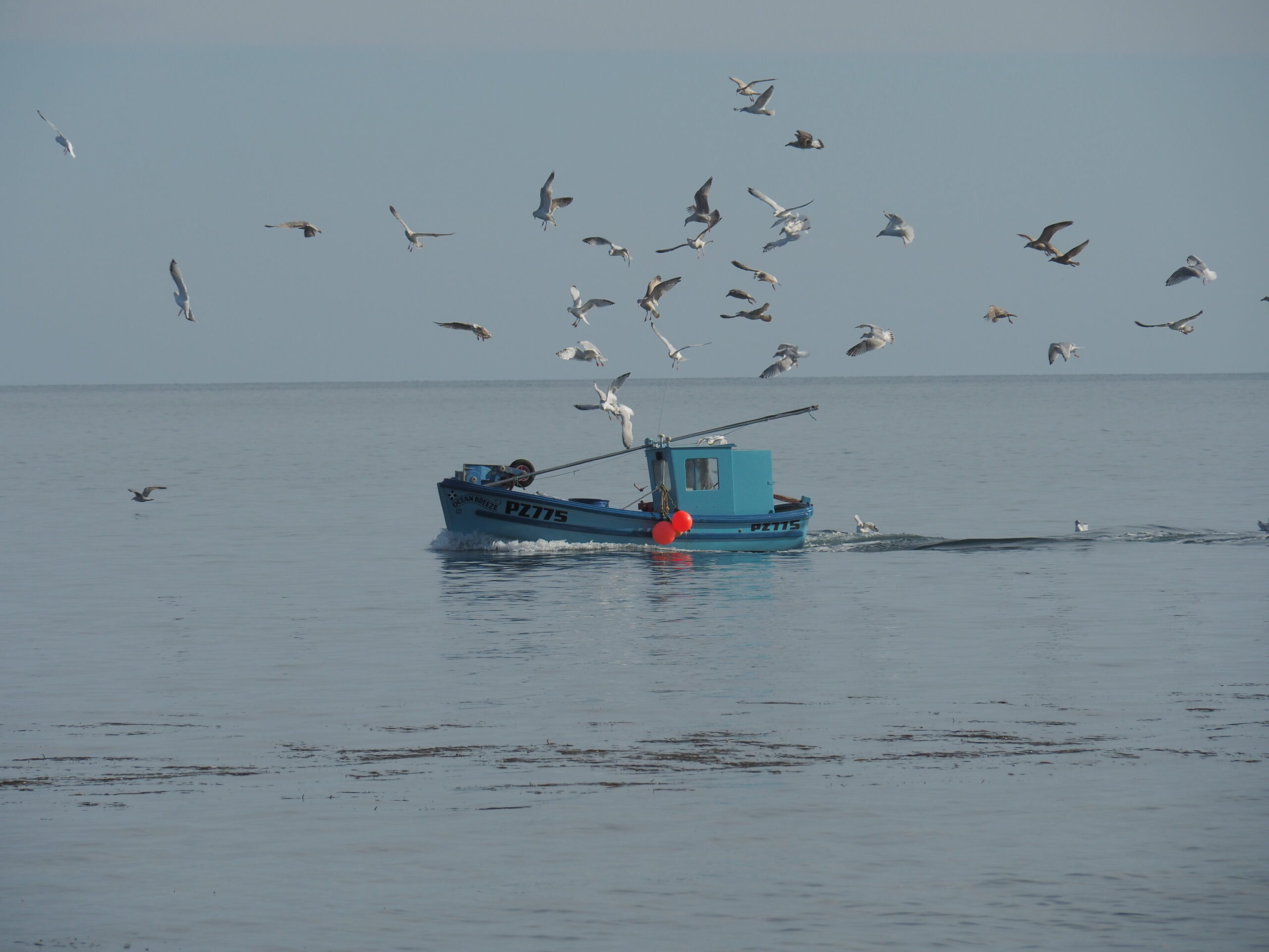 20151020 153210 Cornwall scaled