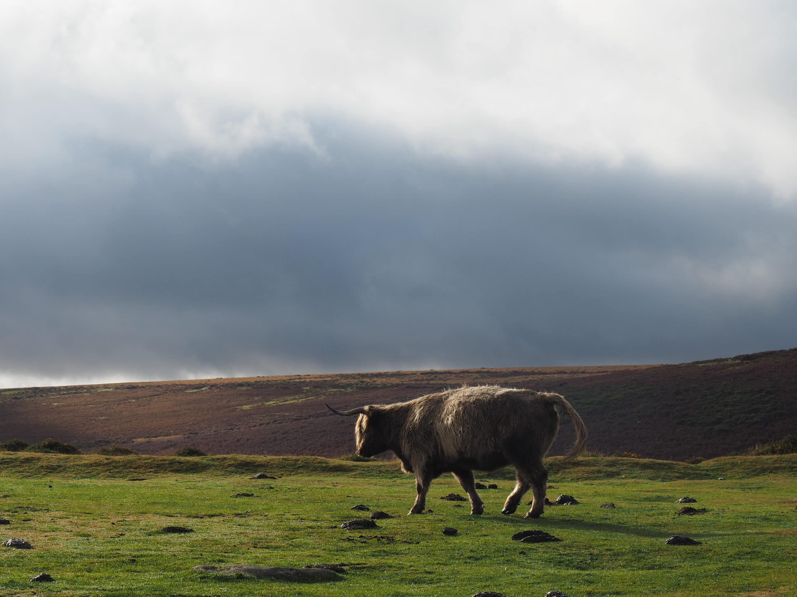 20151024 162803 Cornwall scaled