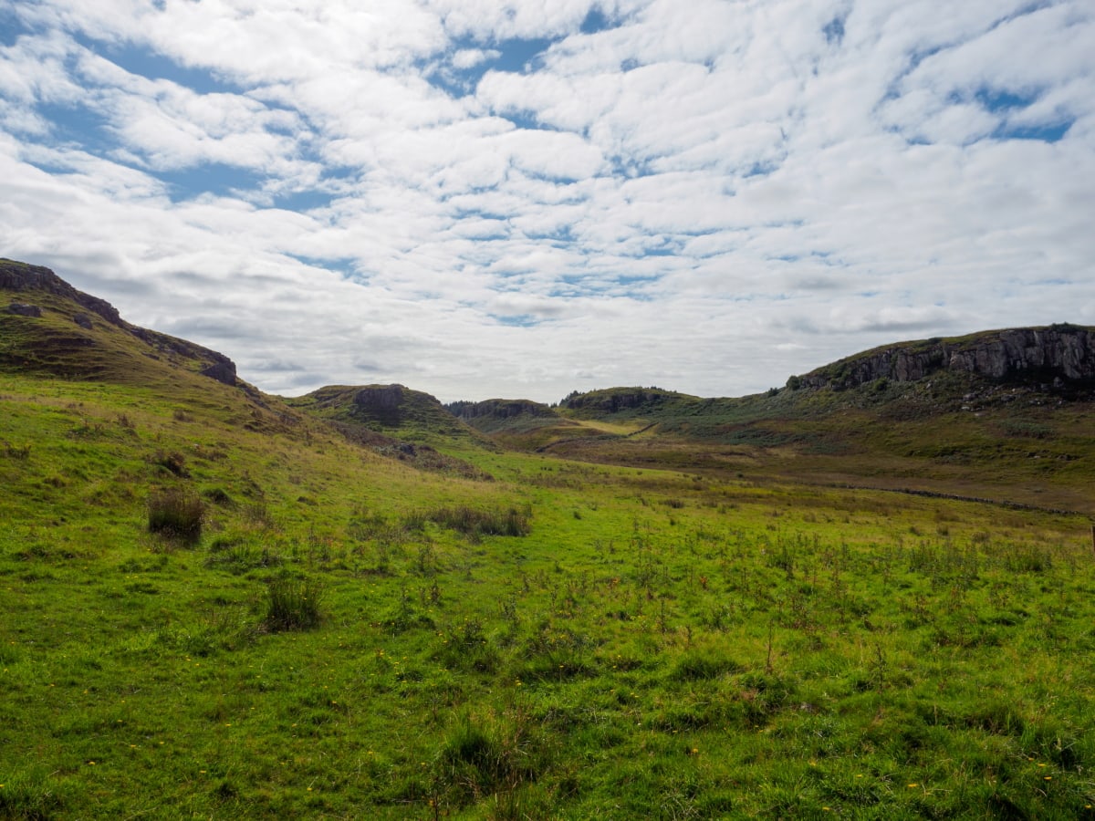 Küstenwiese 20180904 113927 Schottland