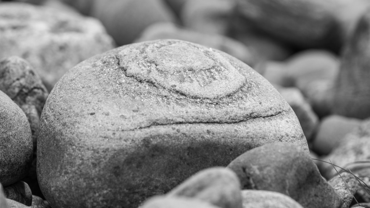 Flussstein 20190823 160308 Cairngorms