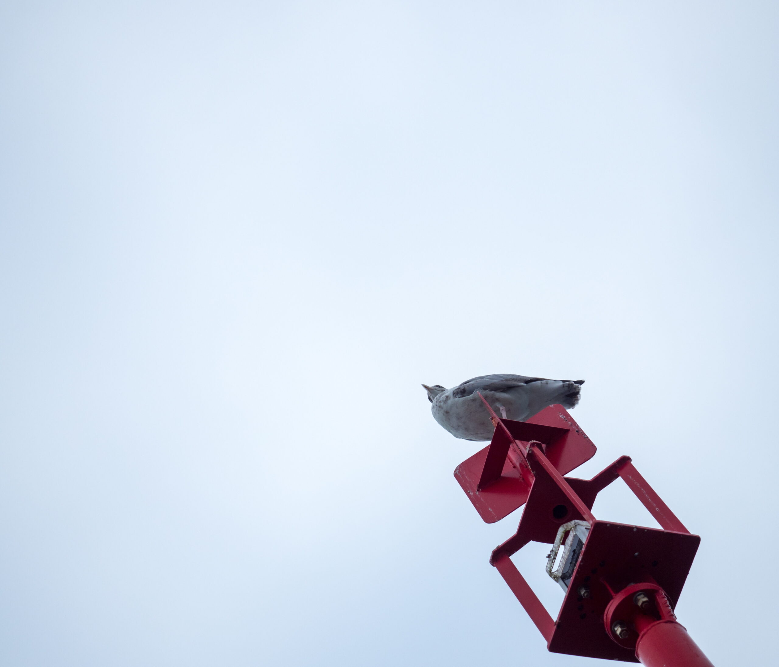 20210915 101102 auf der See scaled