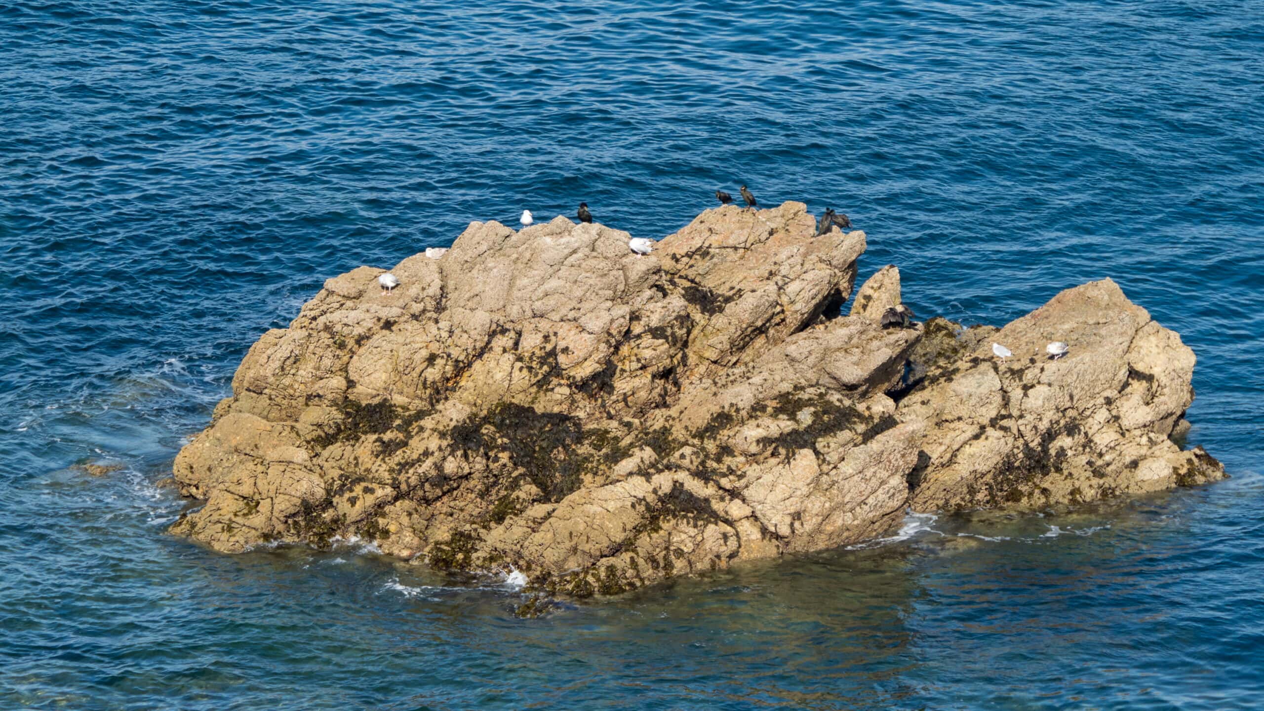 20210917 111800 Pointe de Dinan scaled