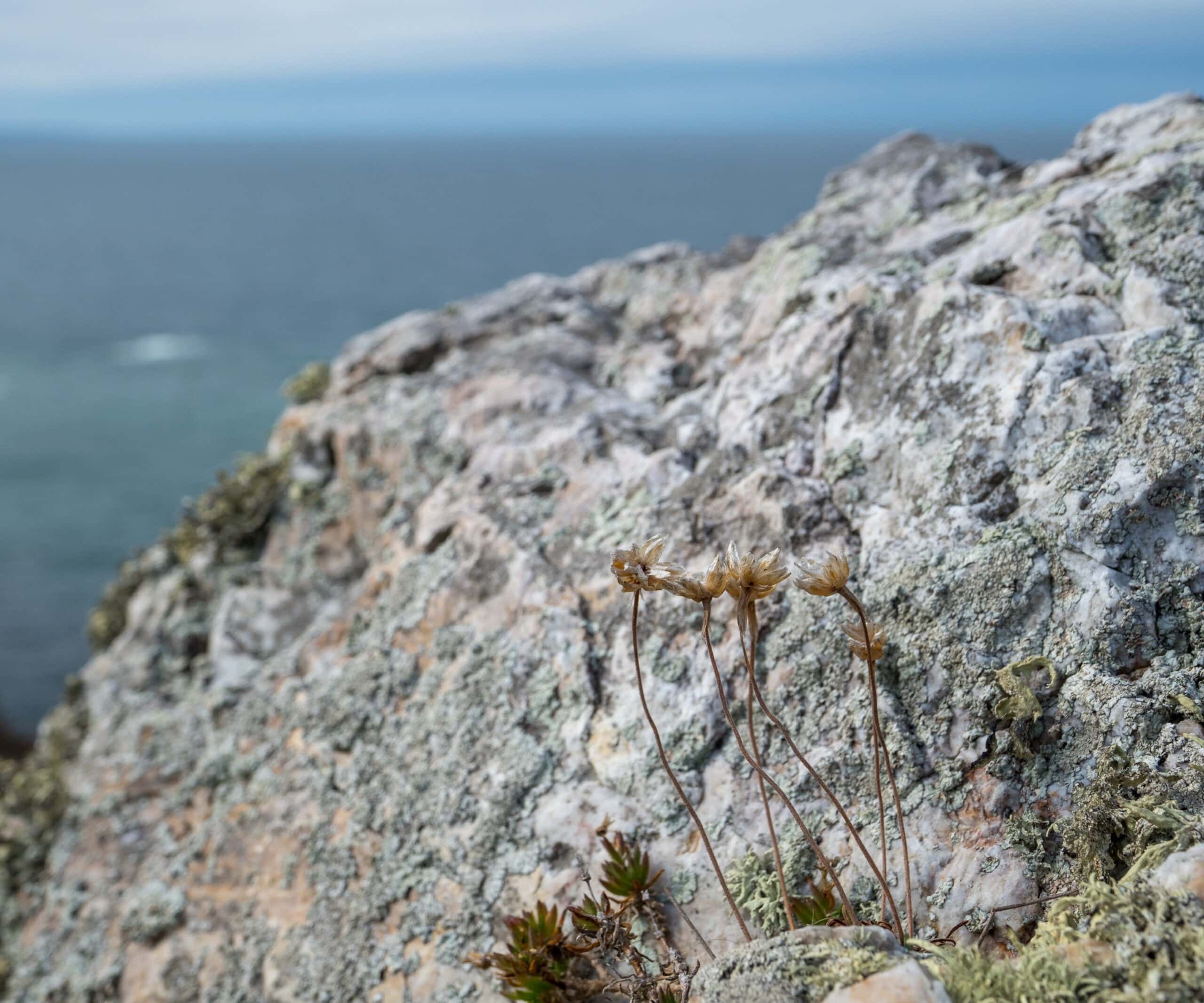 20210917 114206 Pointe de Dinan scaled