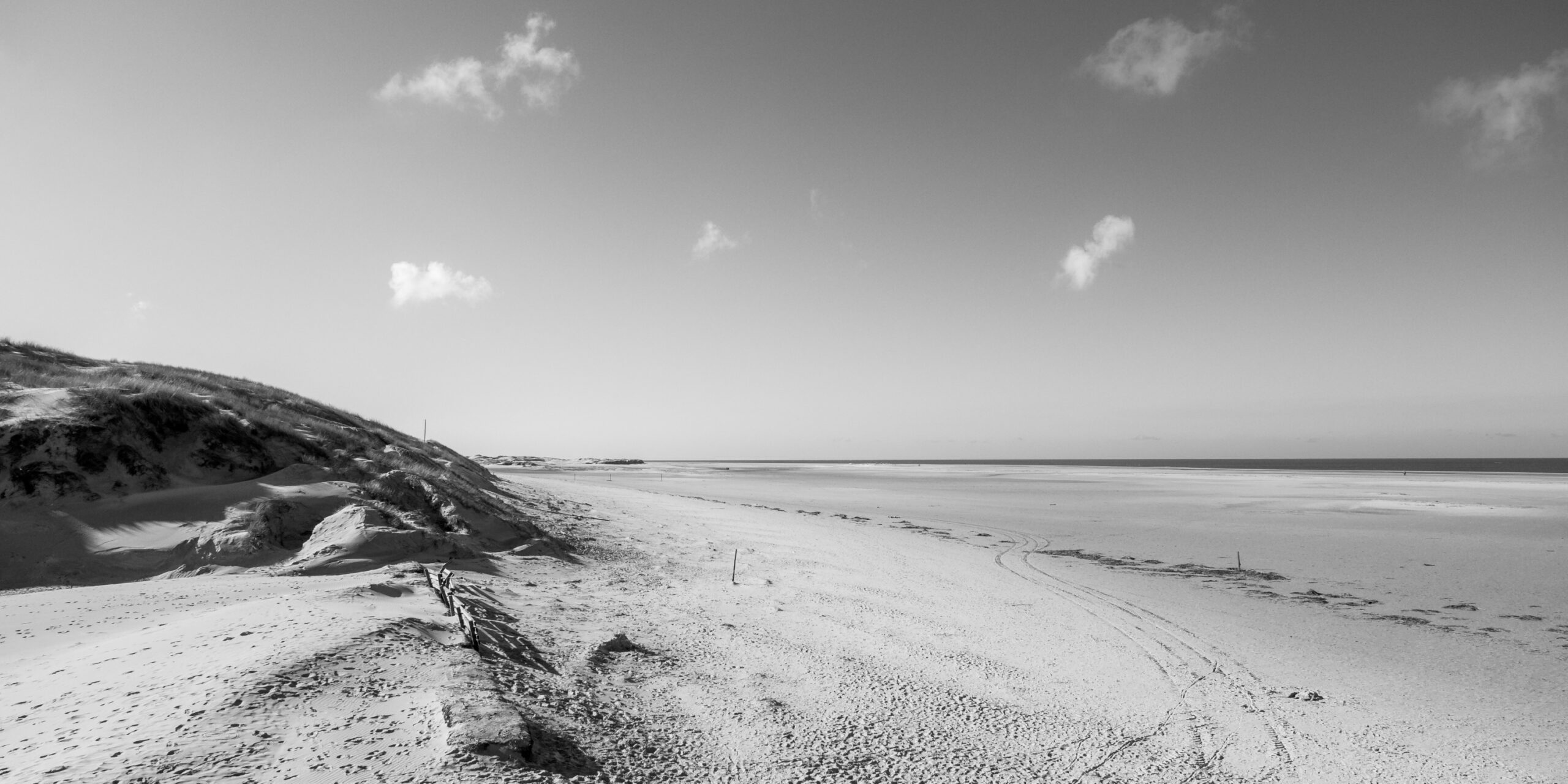 20220305 121311 Amrum scaled