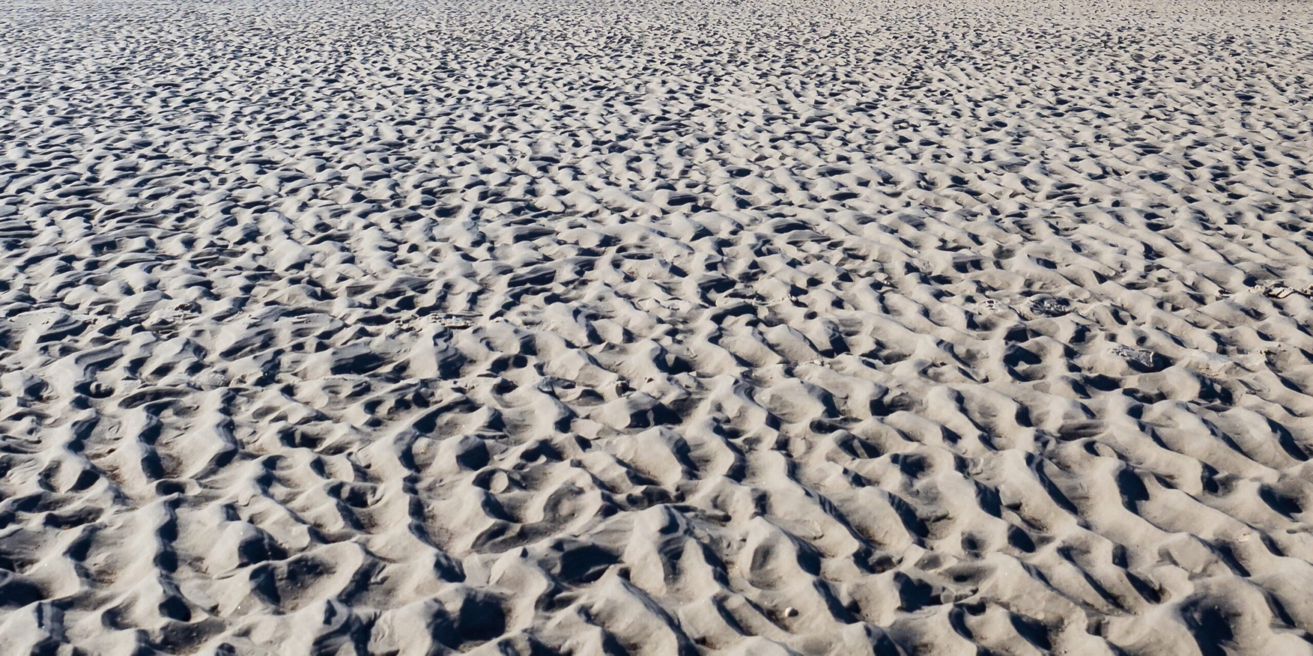 20220305 123106 Amrum scaled