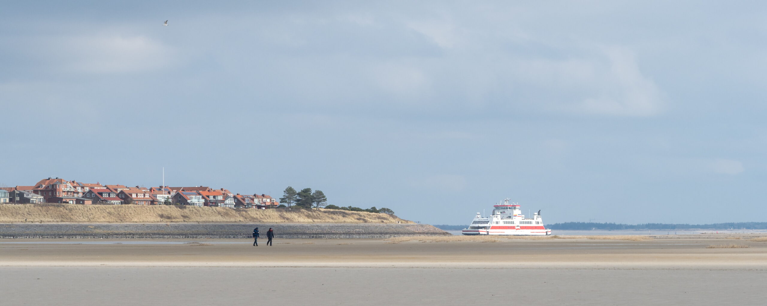 20220306 123318 Amrum scaled