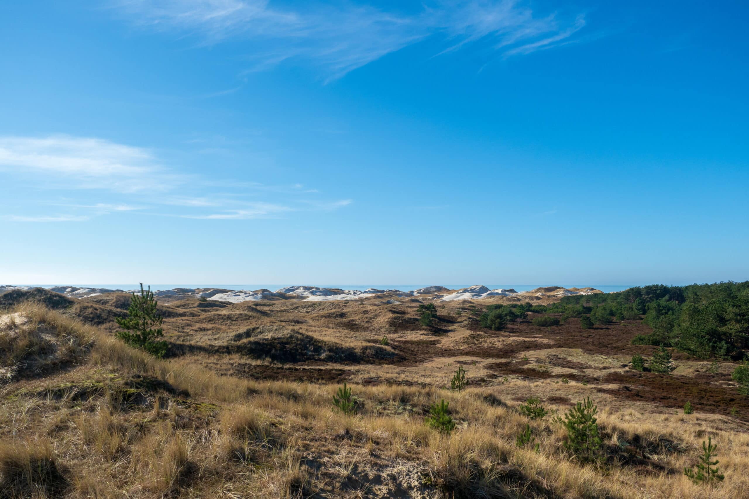 20220307 114040 Amrum scaled