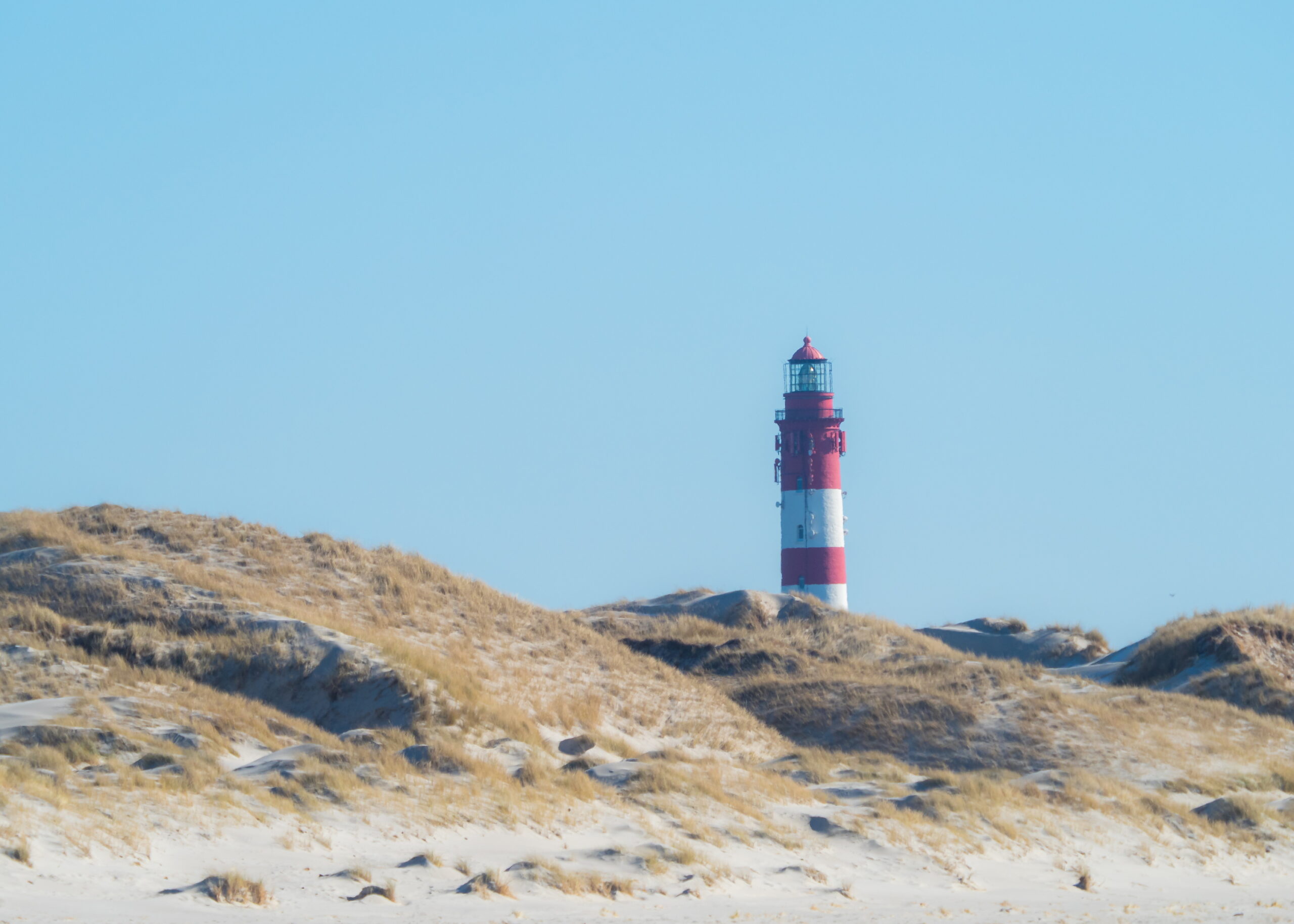 20220307 123825 Amrum scaled