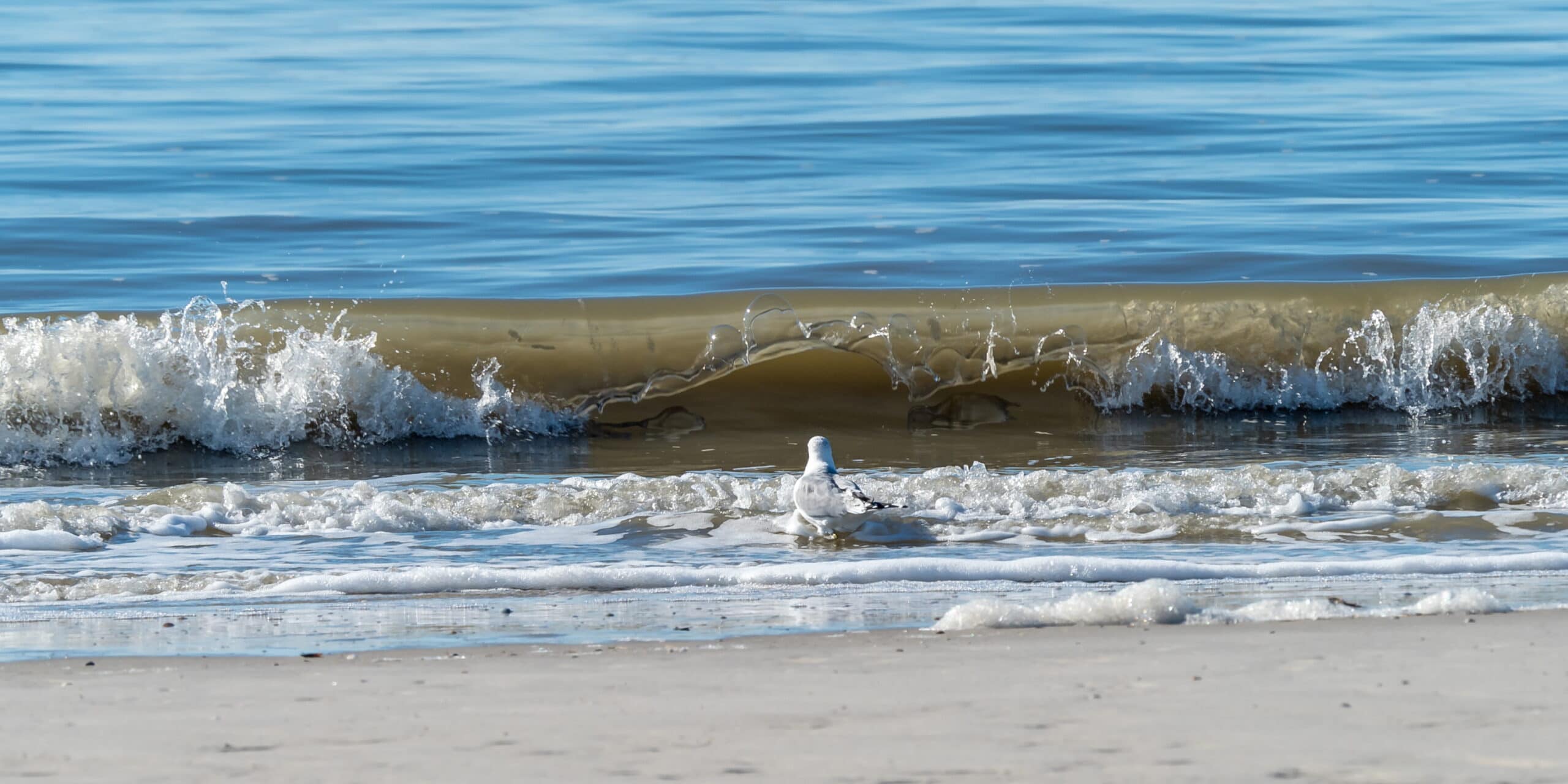 20220307 123927 Amrum scaled