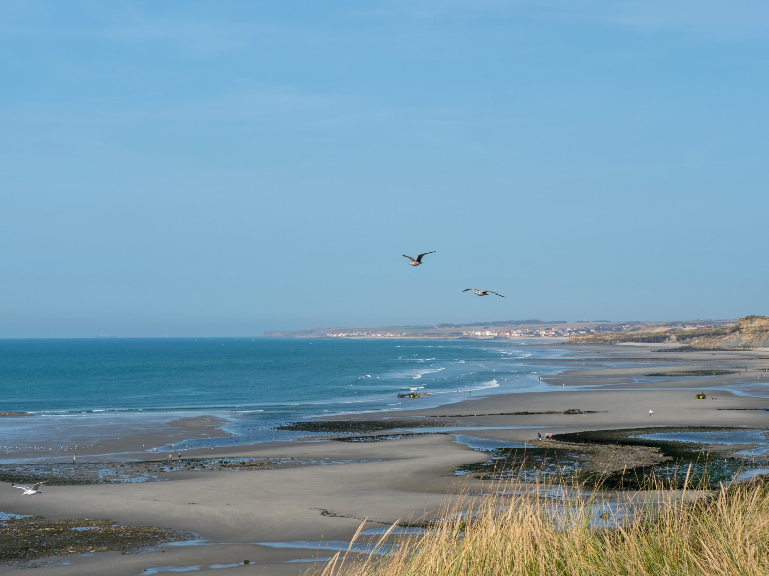 20231008 132217 Wimereux scaled