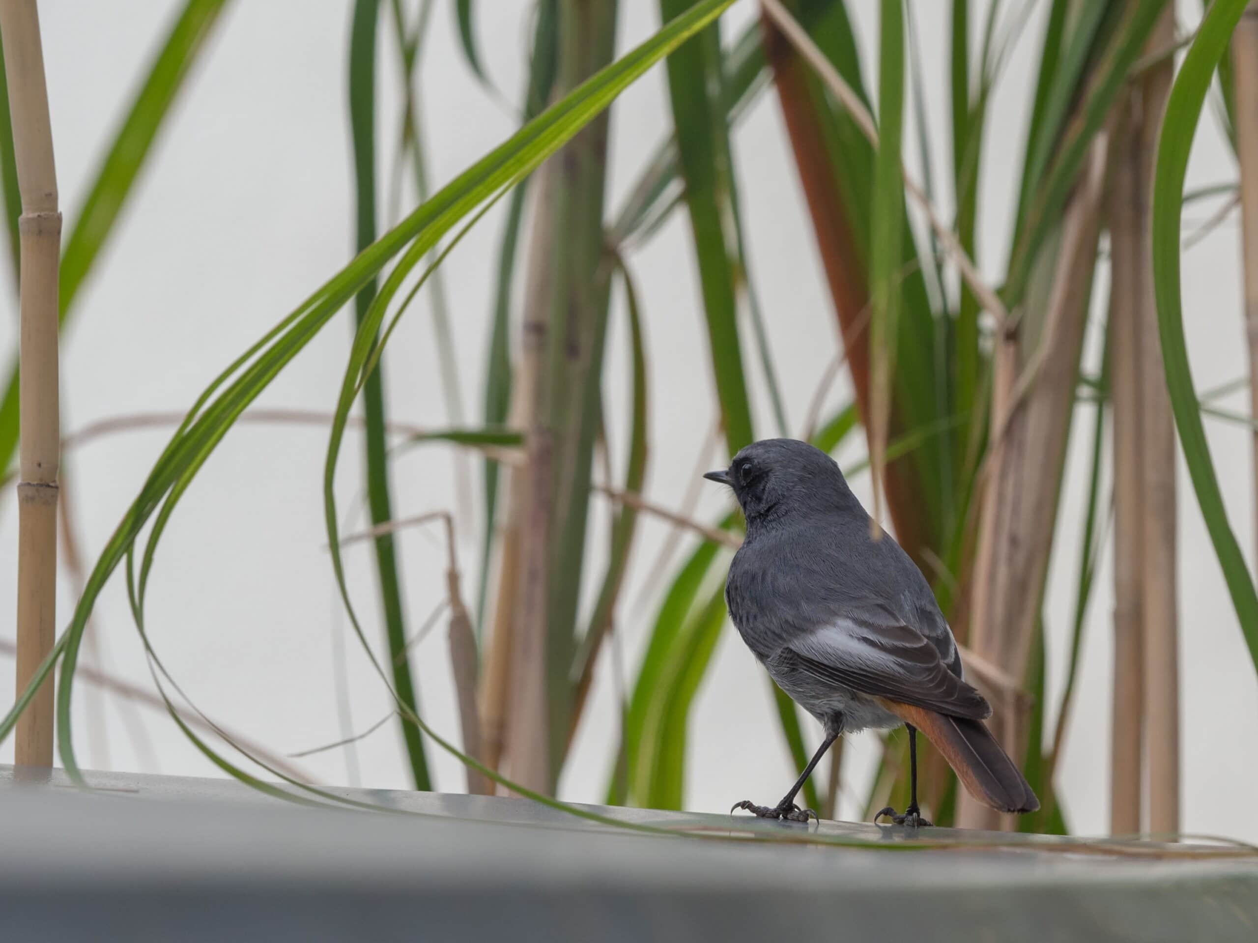 20231009 105254 Wimereux scaled