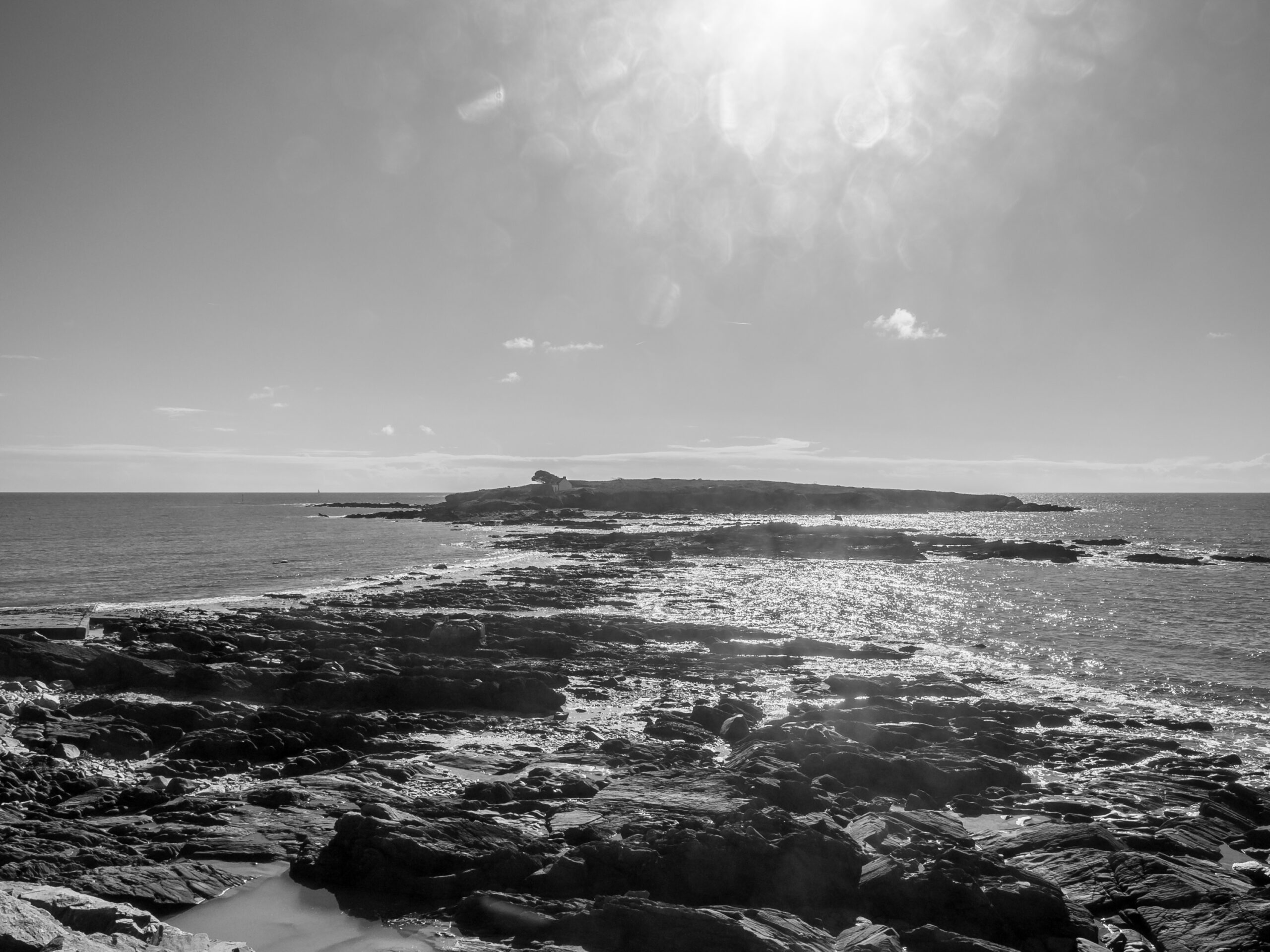 Île Raguénez 20231022 143532 Concarneau scaled